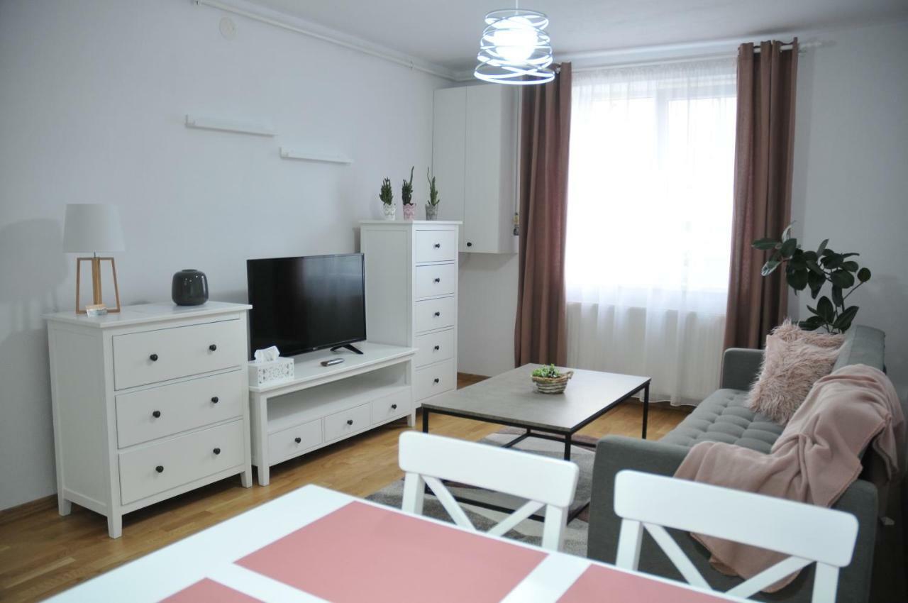 Ana Cristina Apartament Sighisoara Luaran gambar